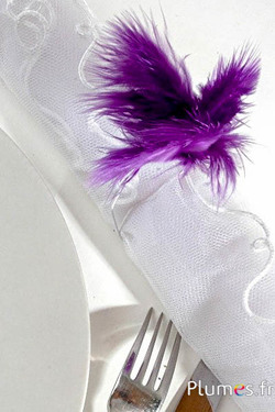 Panicule 3 plumes - hauteur 36 cm - violet